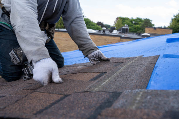 Quick and Trustworthy Emergency Roof Repair Services in Long Beach, IN